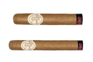 Robusto_Corona